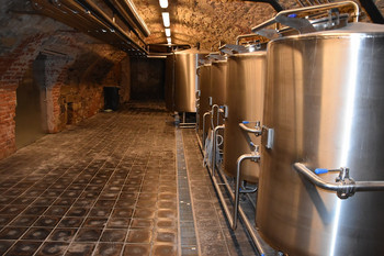 WebPivovar Kamenice Cedic