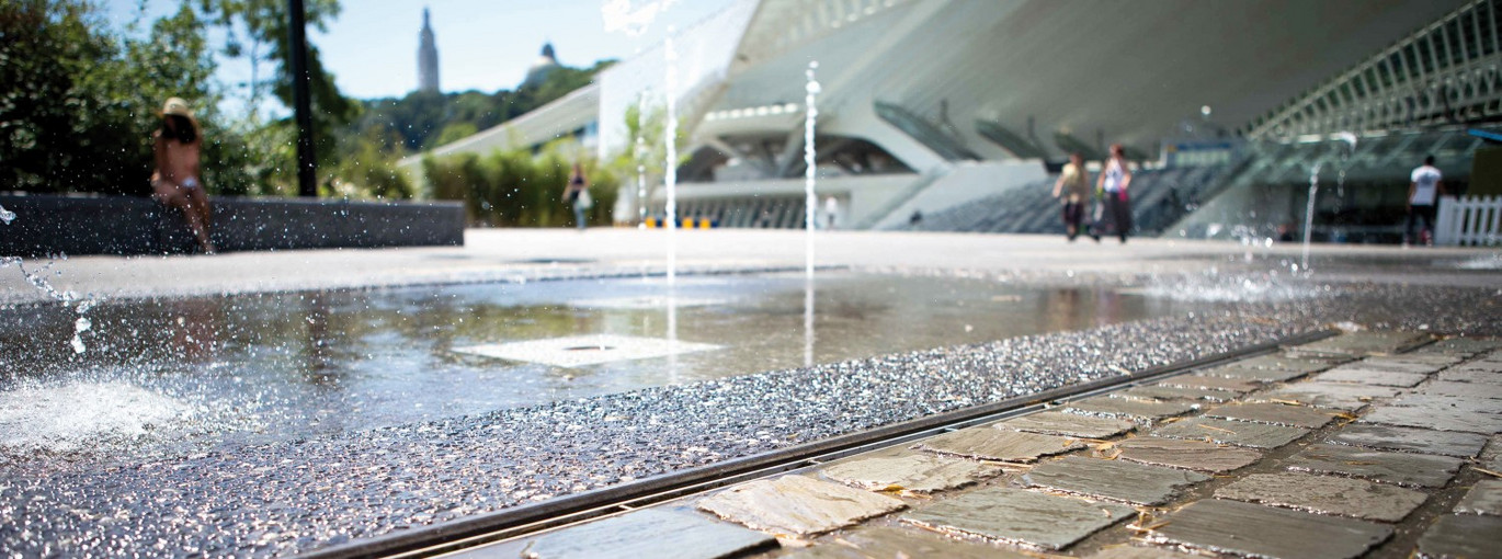 Gare Des Guillemins 1 Uprava